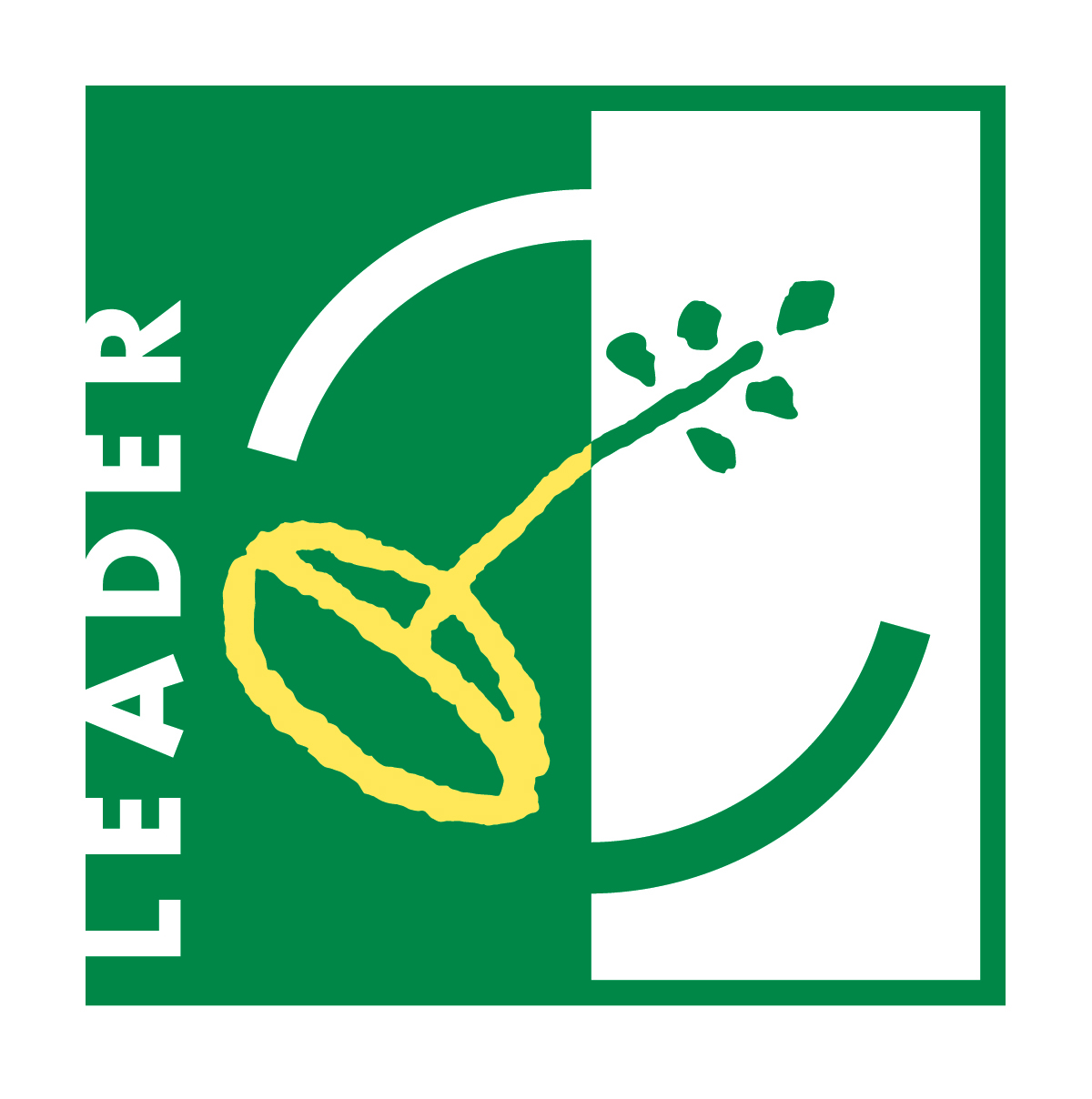 LEADER.jpg